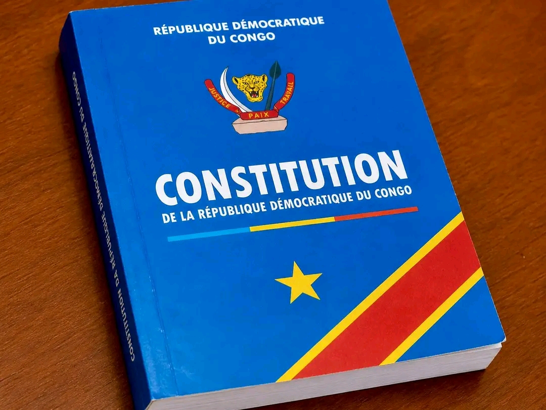 Le changement de la Constitution en RDC : avantages, risques et enjeux ...